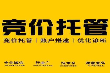 百度竞价代理实战技巧：经典案例深度解读